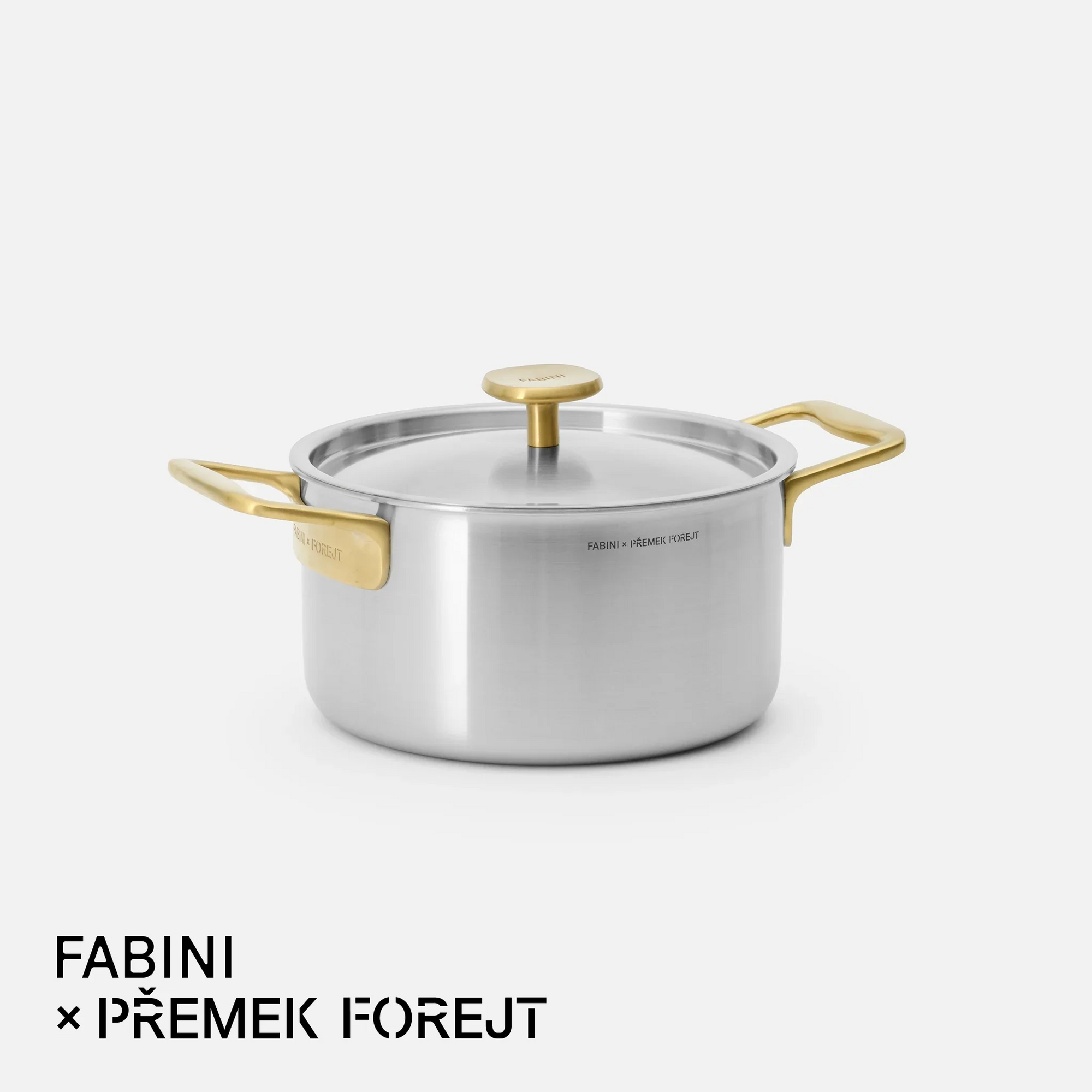 Hrniec FABINI & Forejt, ø 20 cm (3 l) - Nerezový beznitový hrniec z viacvrstvovej nerezovej ocele s pokrievkou