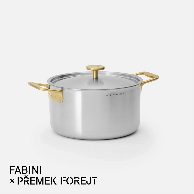 Kastról FABINI & Forejt, ø 24 cm (5,5 l) - Nerezový beznitový kastról z viacvrstvovej nerezovej ocele s pokrievkou