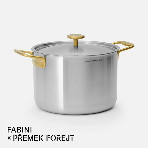 Hrniec FABINI & Forejt, ø 24 cm (7 l) - Nerezový beznitový hrniec z viacvrstvovej nerezovej ocele s pokrievkou