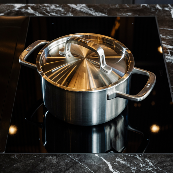 Hrniec FABINI & Pohlreich, ø 20 cm (3 l) - Nerezový beznitový hrniec z päťvrstvovej nerezovej ocele s pokrievkou