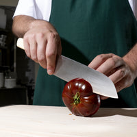 Santoku nôž Trino Economy, 17 cm - Nôž z nemeckej ocele, modrý
